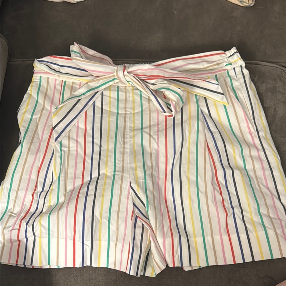 Multi colored J.Crew Shorts
